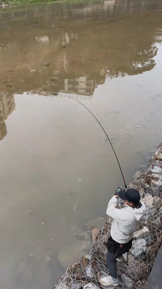 昆山淀山湖路亚钓鱼(昆山淀山湖附近野河钓鱼)