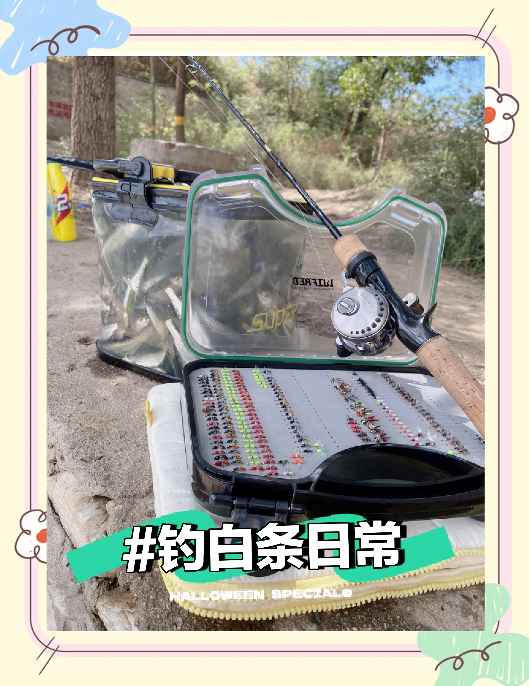 如何钓白条鱼饵料(钓白条鱼饵料加入甘松)
