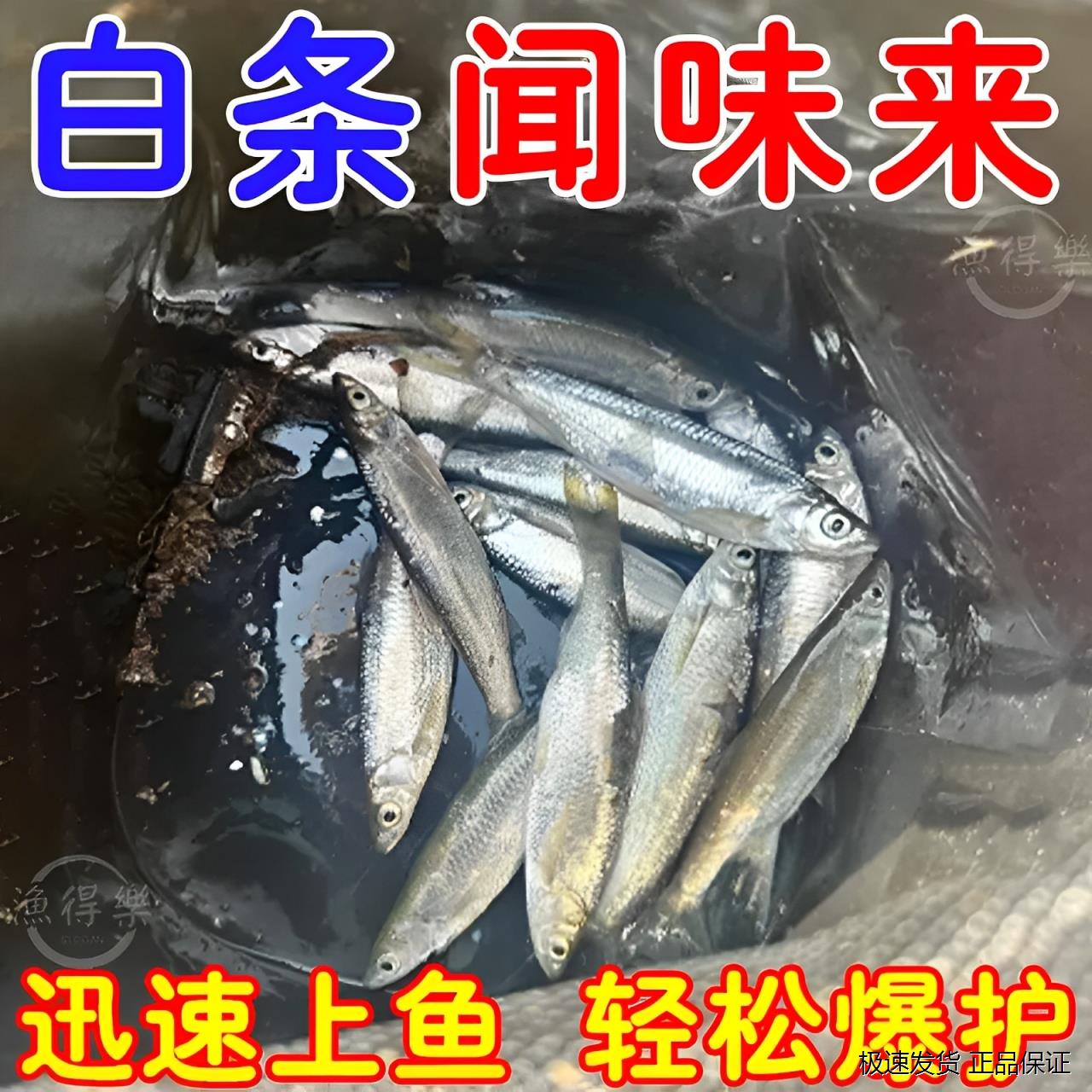 如何钓白条鱼饵料(钓白条鱼饵料加入甘松)