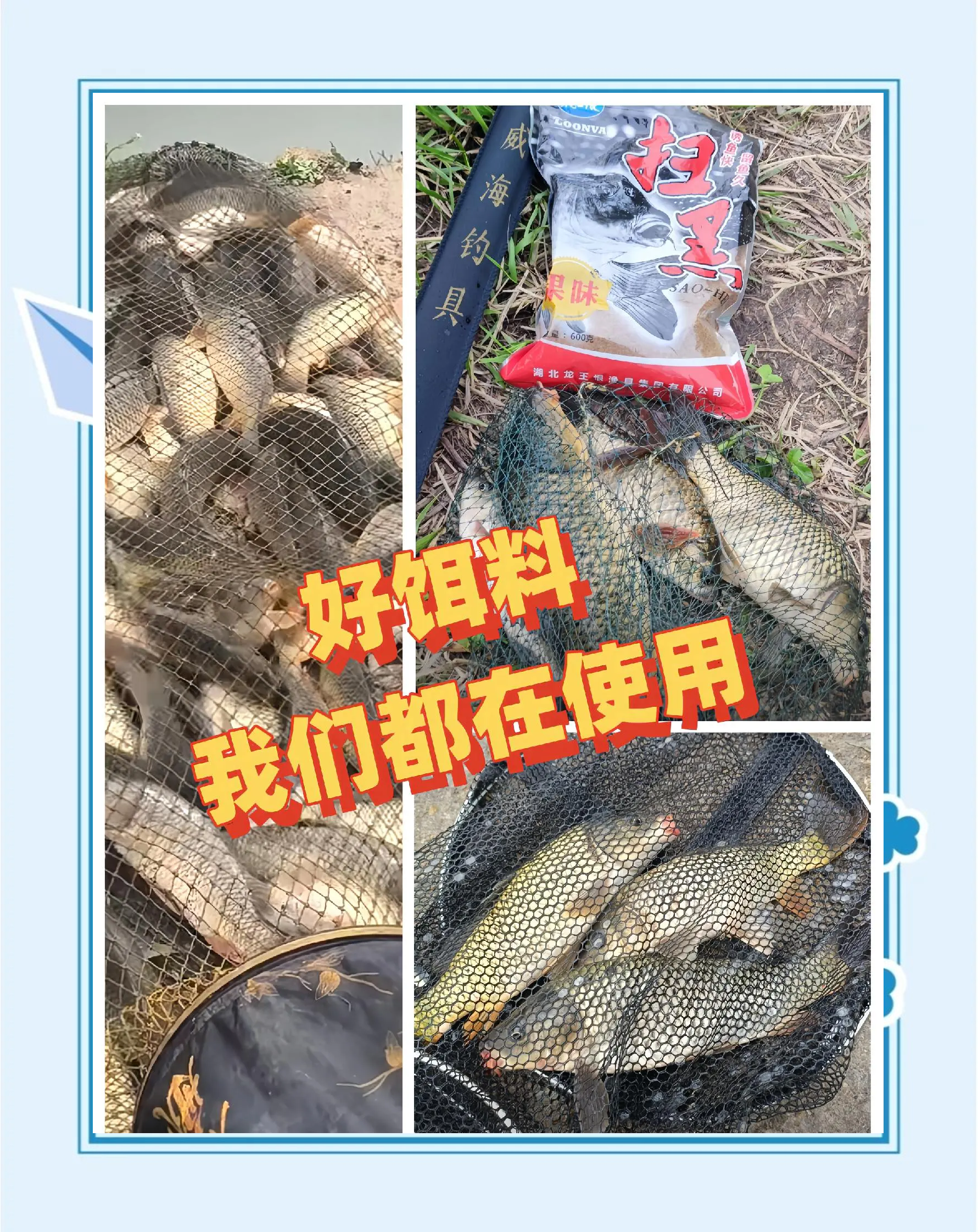 什么牌子的鲫鱼饵料好(什么牌子的鲫鱼饵料好一点)