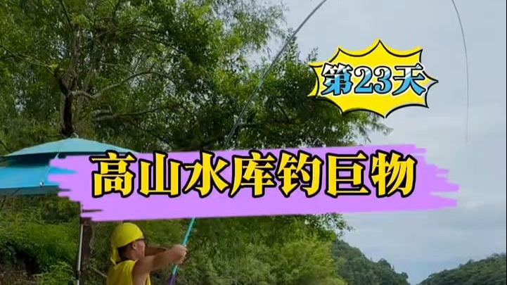 水库钓巨物技巧(水库钓巨物技巧视频)