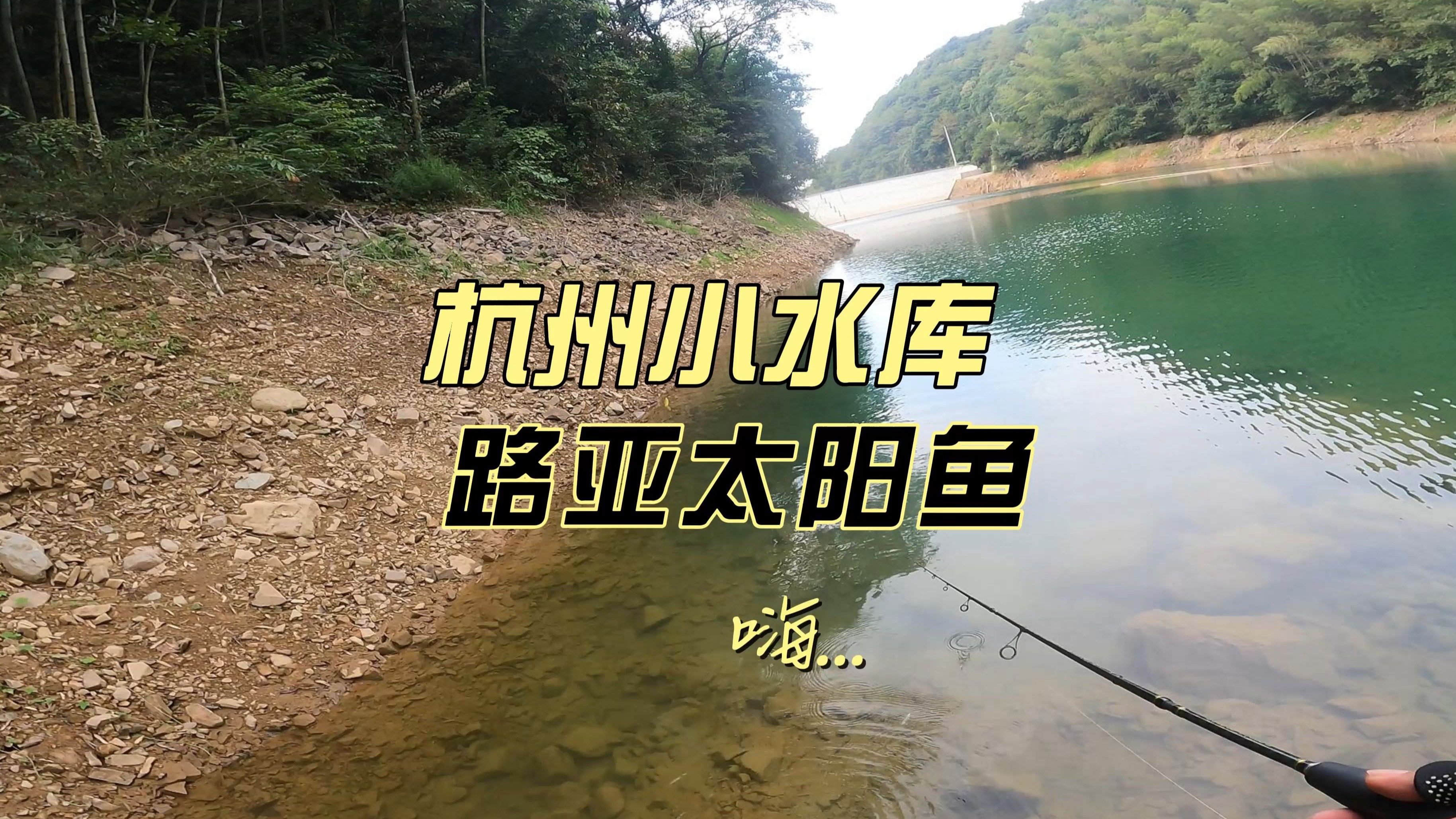 收费路亚钓场(路亚钓场怎么收费)
