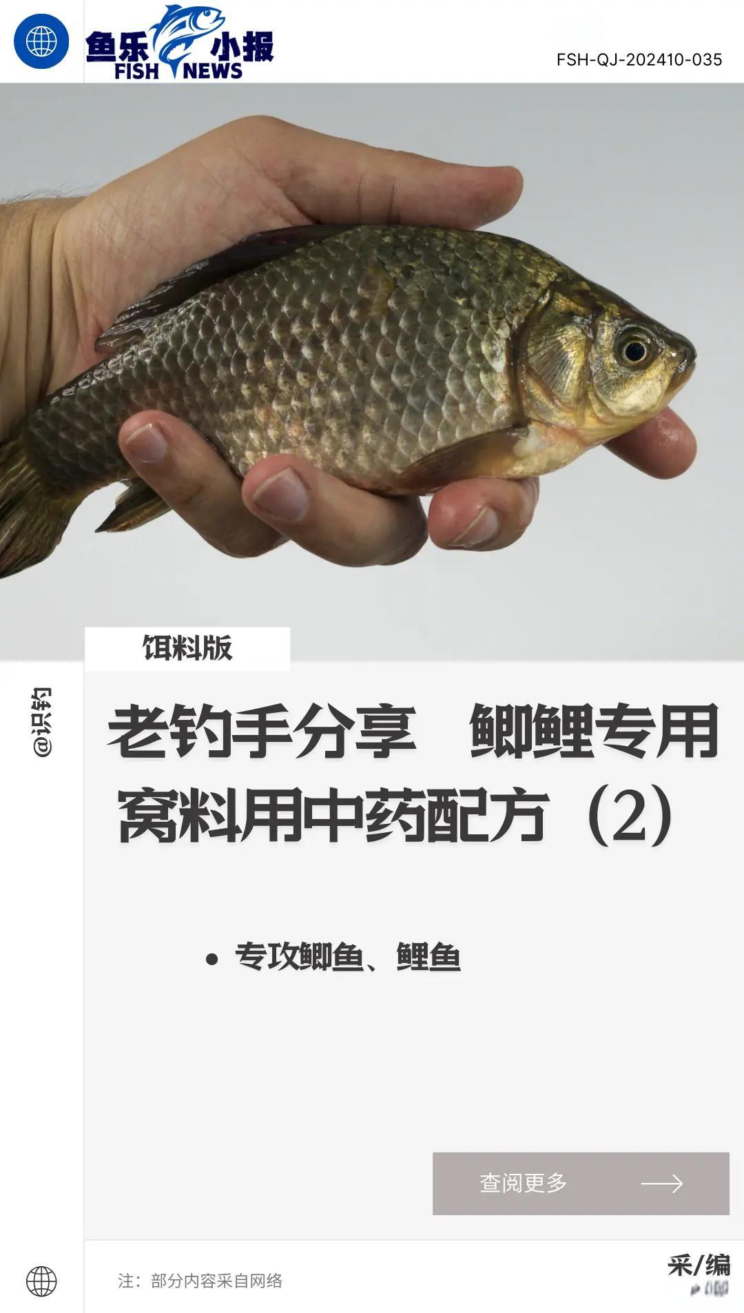 老者渔具药酒(老者鱼进窝的配方)