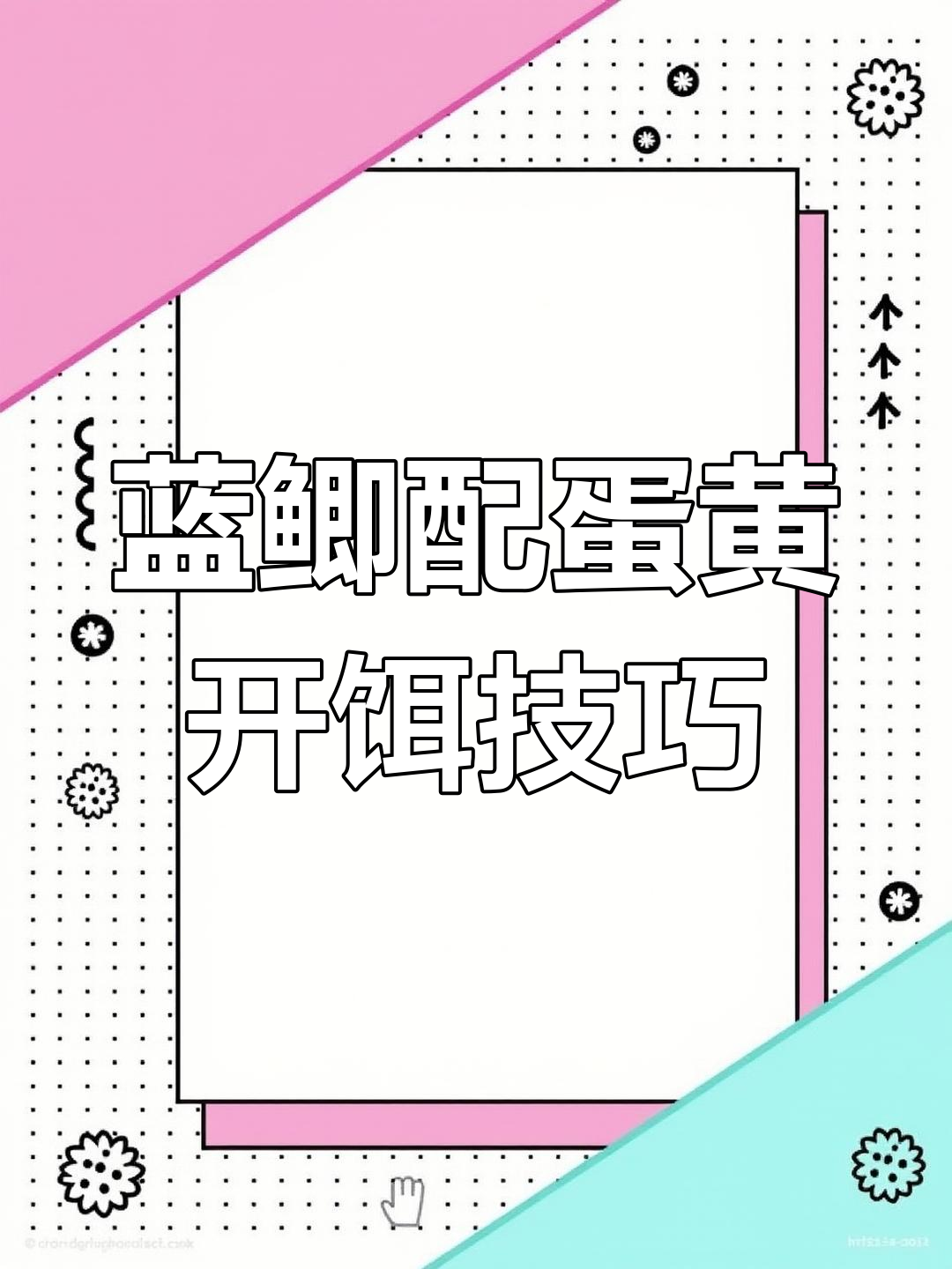 饵料可以加蛋黄(饵料可以加蛋黄一起用吗)
