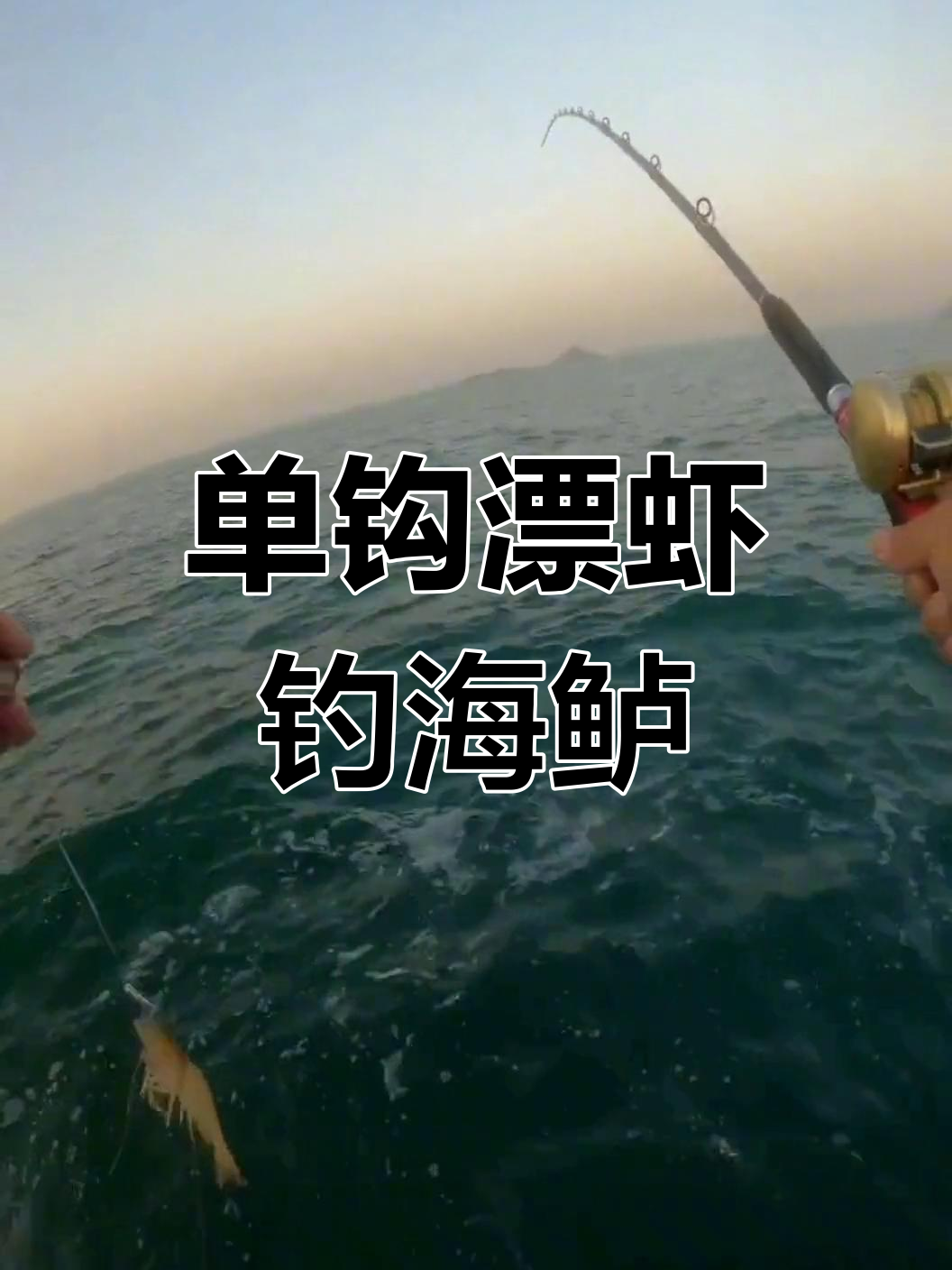 海钓鲈鱼用线(海钓鲈鱼线组底钩距离)