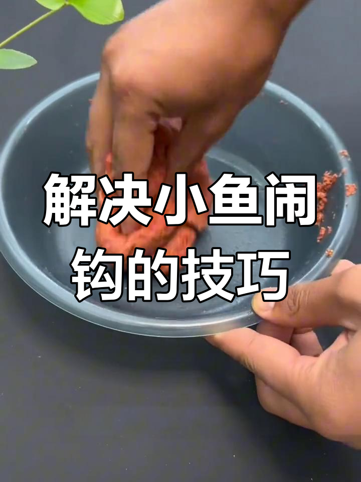 钓鱼技巧小鱼闹窝(钓鱼时小鱼闹窝有什么办法)