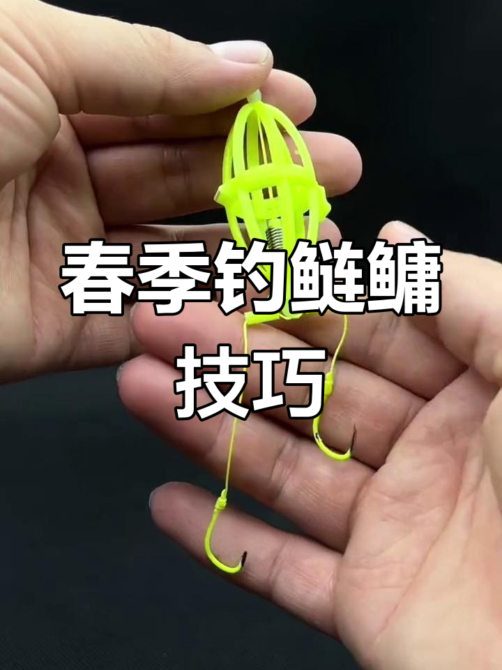 春钓鲢鳙技巧视频(春钓鲢鳙技巧视频讲解)