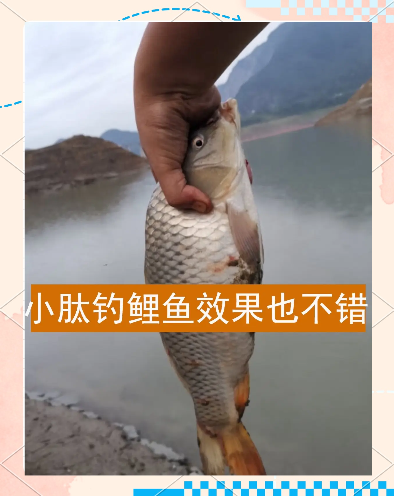 钓红鱼用啥饵料(钓红鱼用什么钩子)