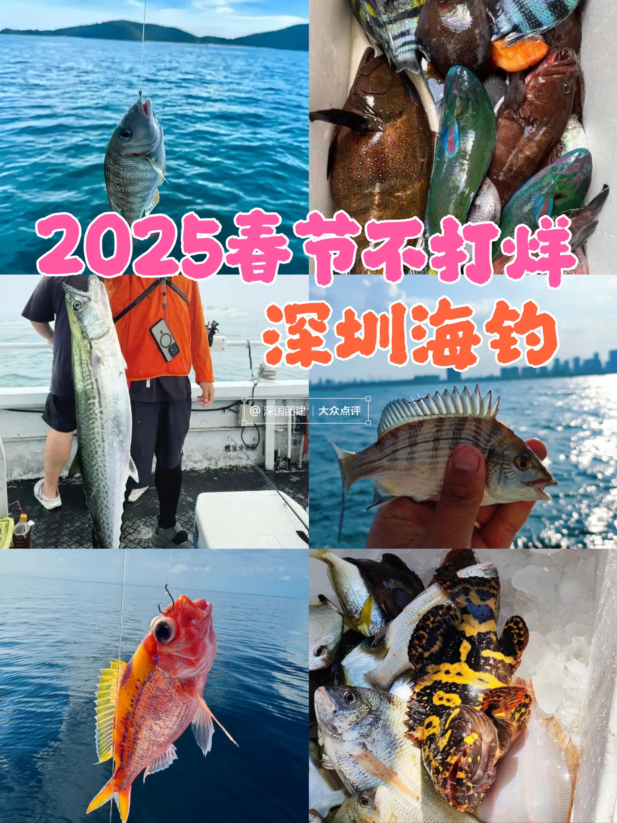 深圳海钓章红(深圳海钓俱乐部)