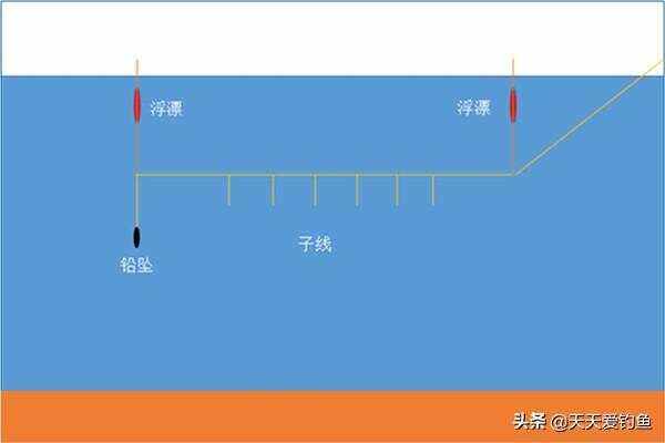 草鱼钓浮钓底技巧(草鱼钓浮钓底技巧图解)