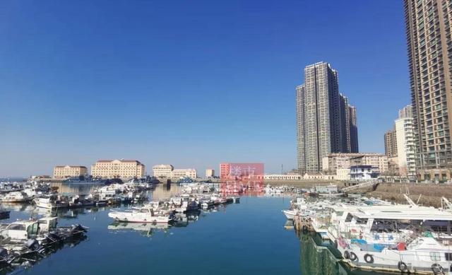 海钓渔港(海港鲱怎么钓)
