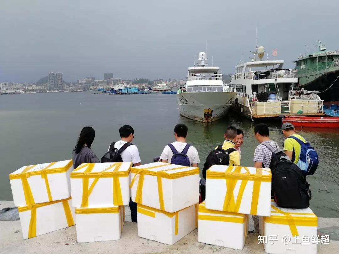 南油海钓鱼(南油海钓鱼种有哪些)