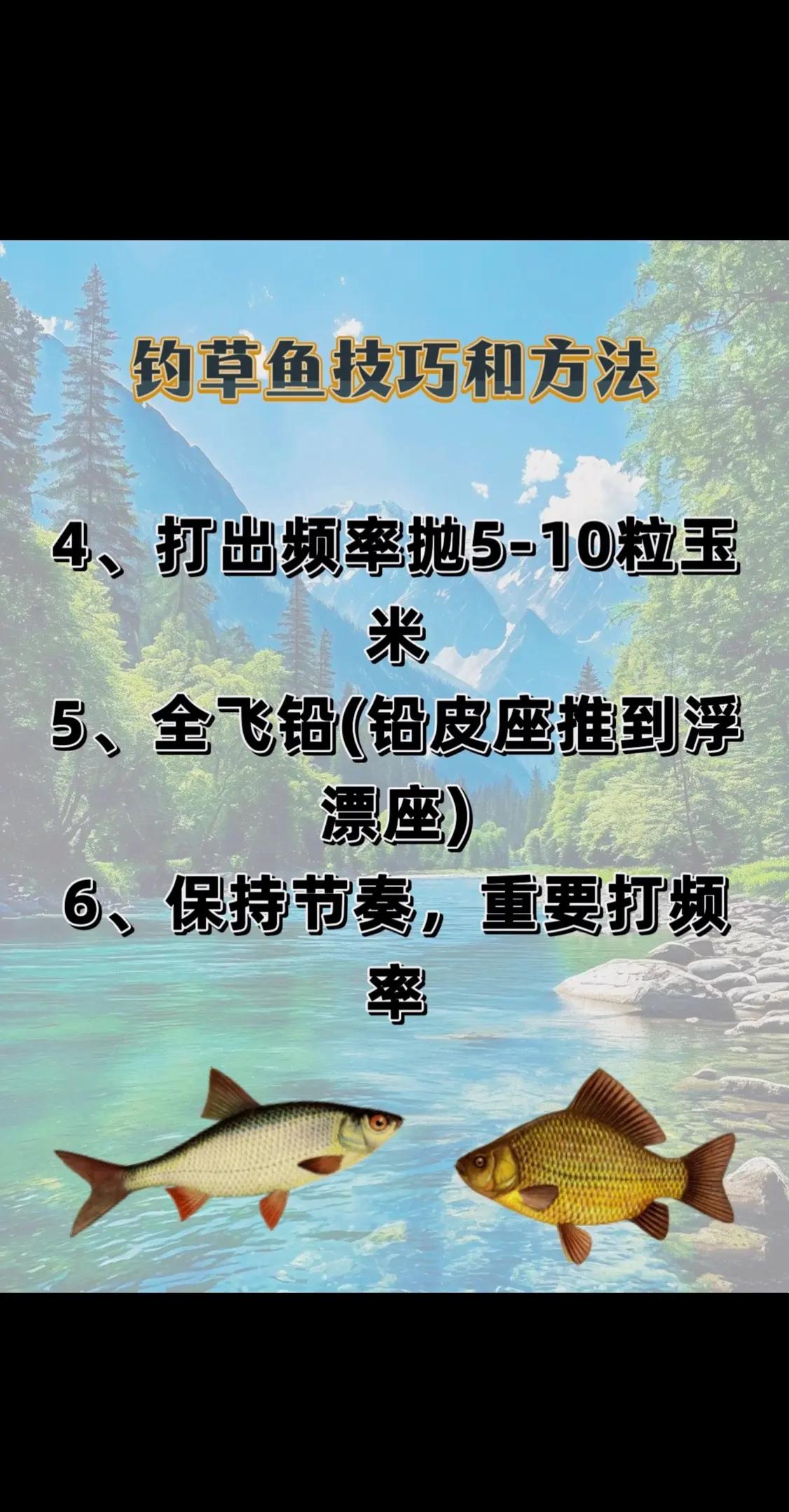 矶竿钓草鱼技巧(矶竿浮钓草鱼教学视频)
