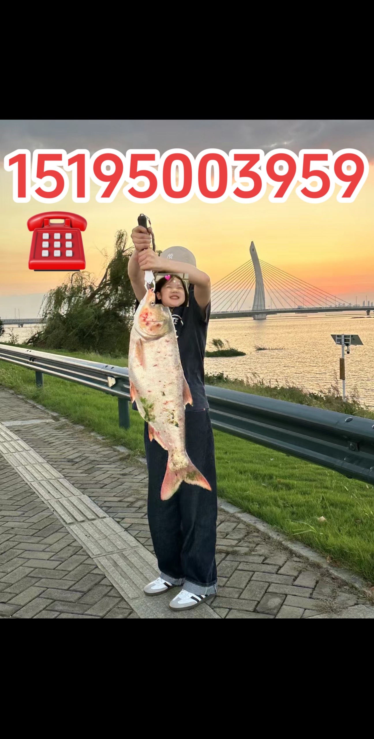 大连路亚出租(大连玩路亚的地方)