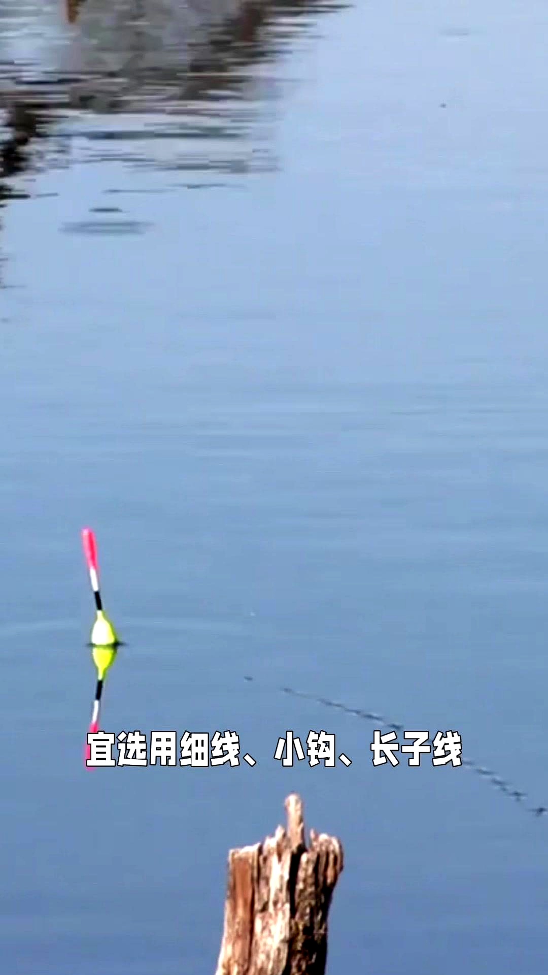 春钓鲫鱼提竿技巧视频(春钓鲫鱼提竿技巧视频讲解)
