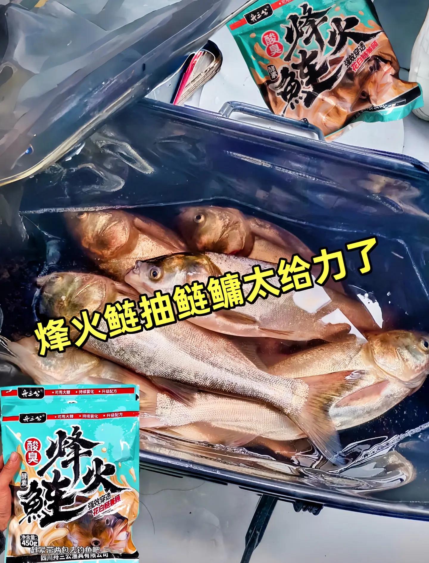 南方钓鲢鳙饵料配方(南方钓鲢鳙饵料配方视频)