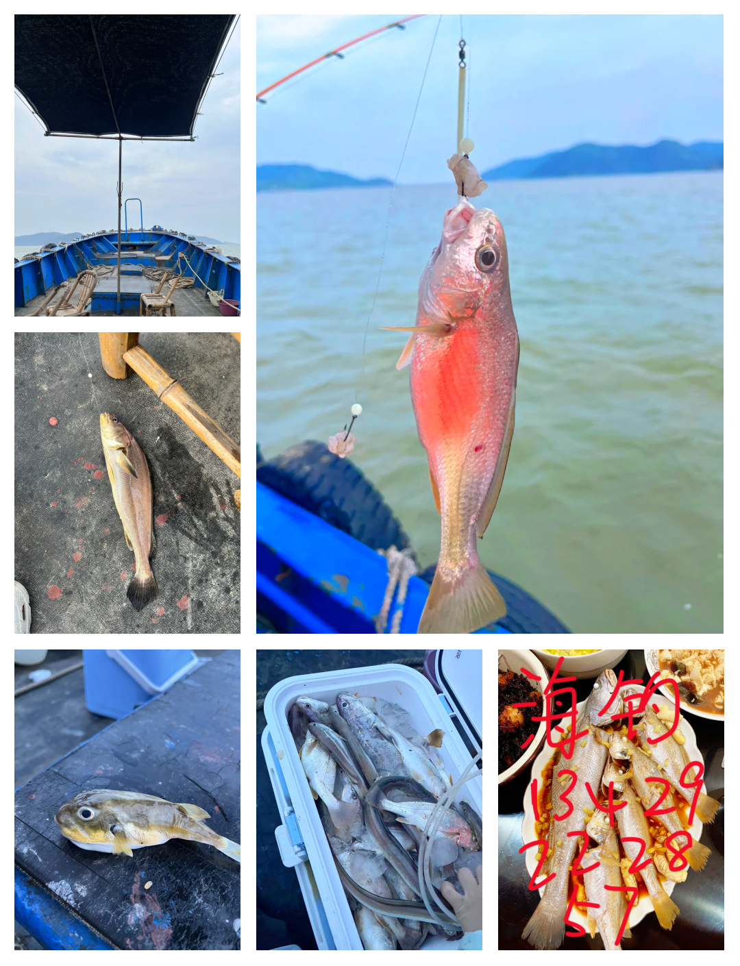 福州海钓钓点(福州哪里有钓场)