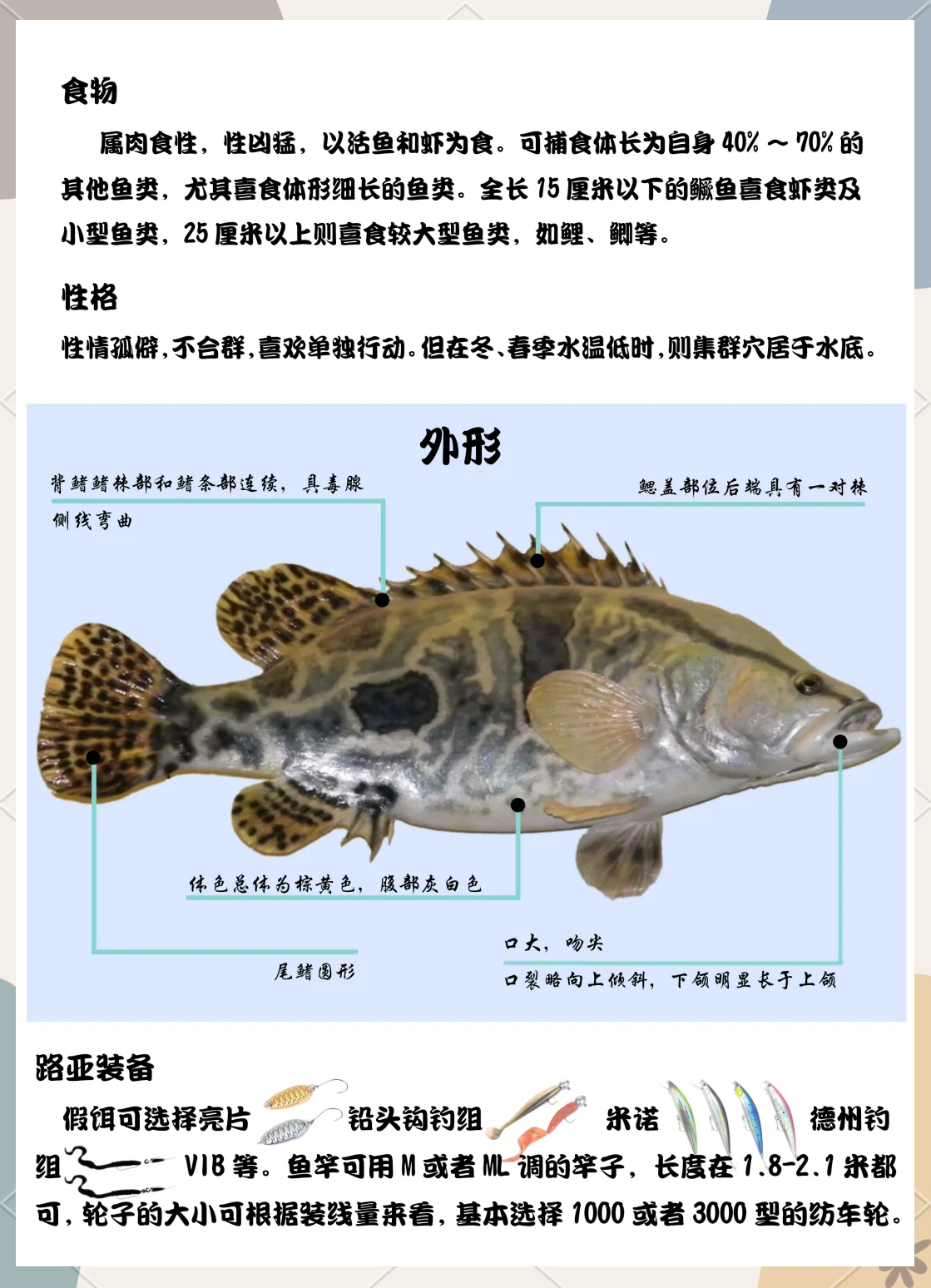 杀鳜鱼技巧(杀鳜鱼还要去刺吗)