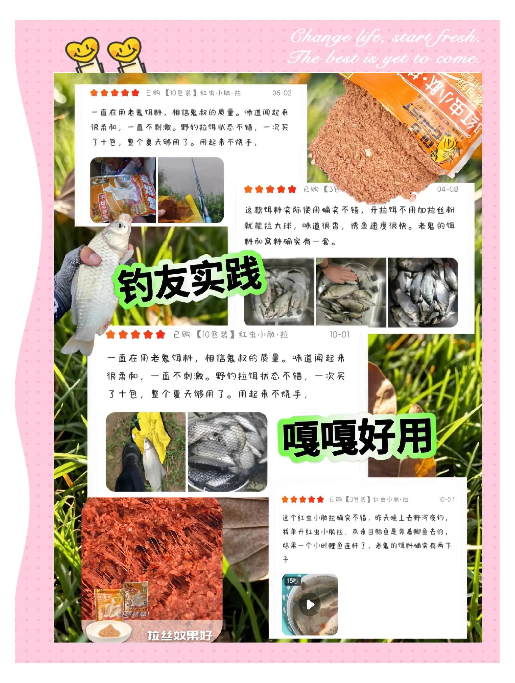 秋钓爆炸饵料配方(秋钓爆炸饵料配方视频)