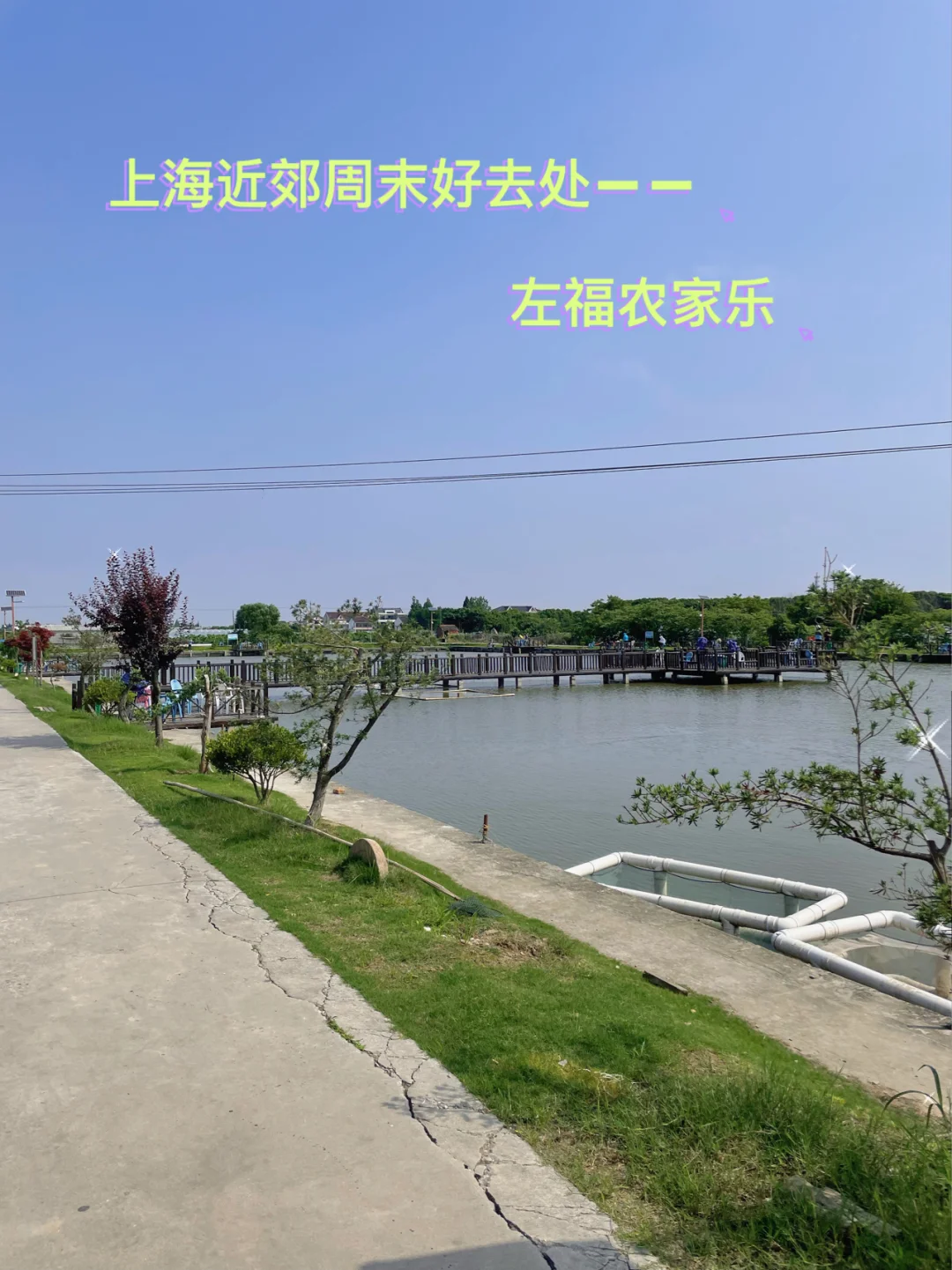 上海钓鱼野浜(上海2020最新野钓地点)