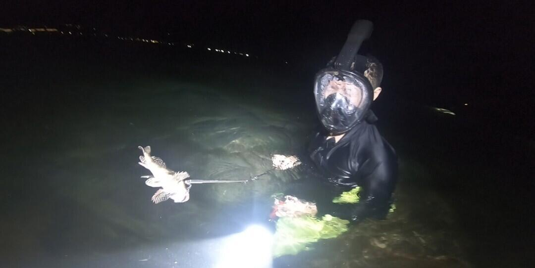 深圳男子海钓发现(深圳一男子海边钓鱼)