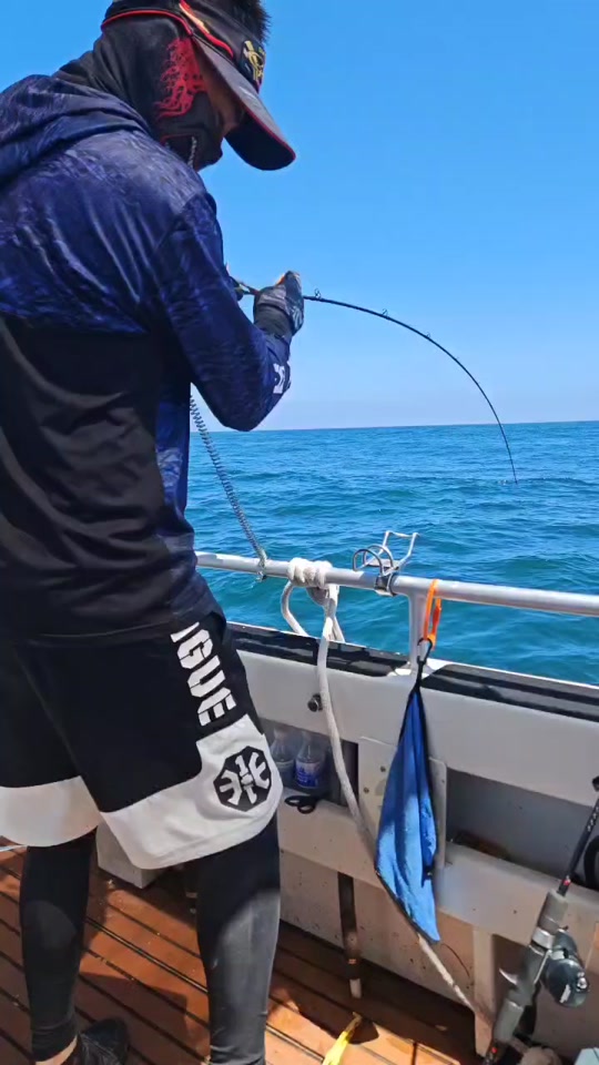 海钓蓝鳍金枪鱼视频(钓巨型蓝鳍金枪鱼的视频)