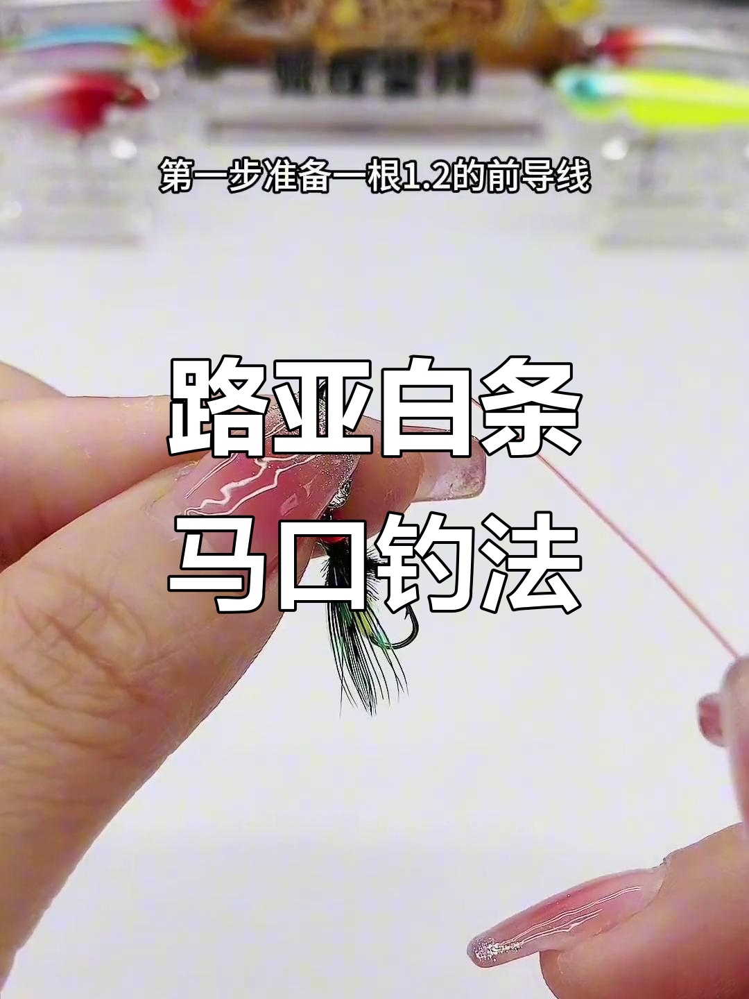 路亚飞蝇钓法怎么连接的简单介绍