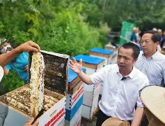 关于范路亚养蜂技术的信息