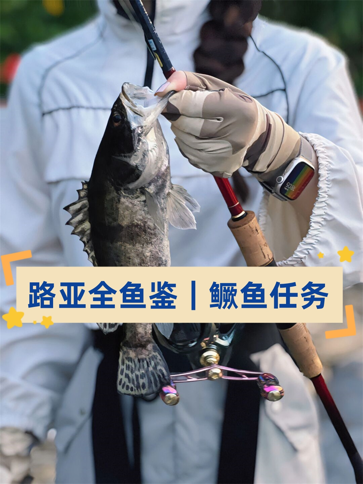 路亚桂花(路亚桂花鱼常用假饵有哪些?)