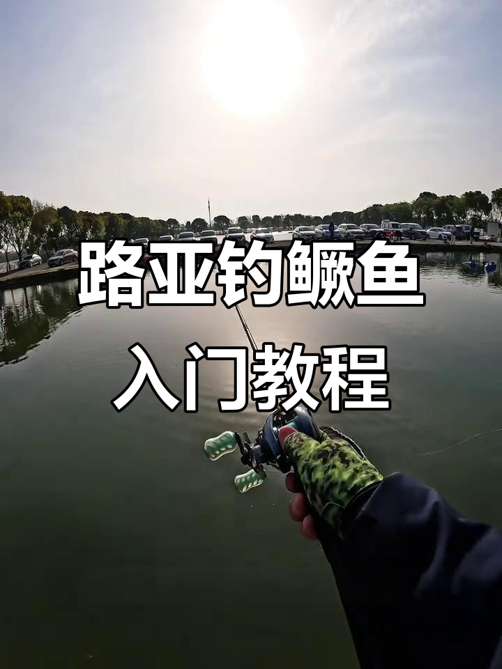钓桂鱼技巧视频(怎样钓桂鱼之鳜鱼的四种钓法)
