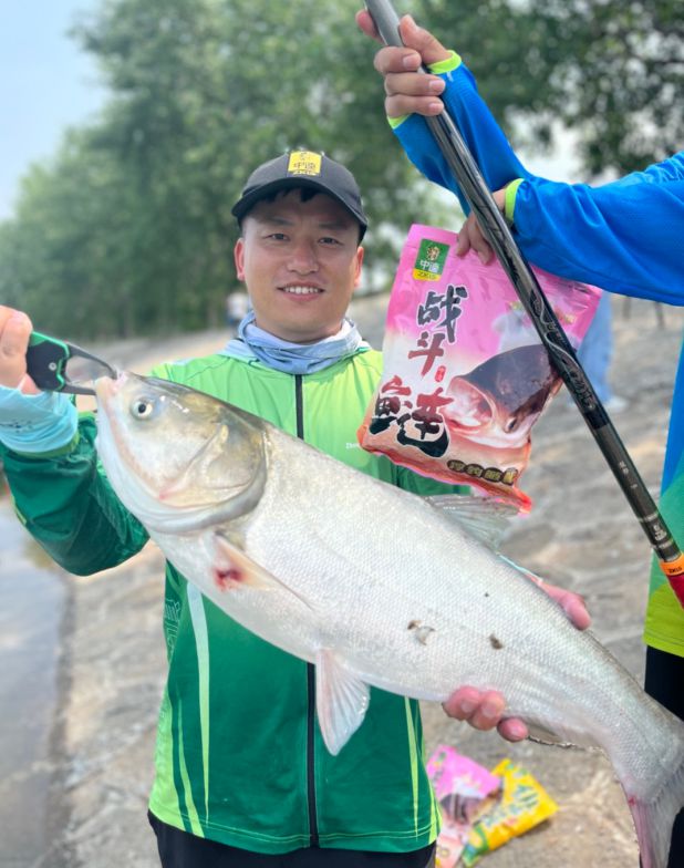 钓连鱼技巧视频教程(钓连鱼用什么饵料最佳)