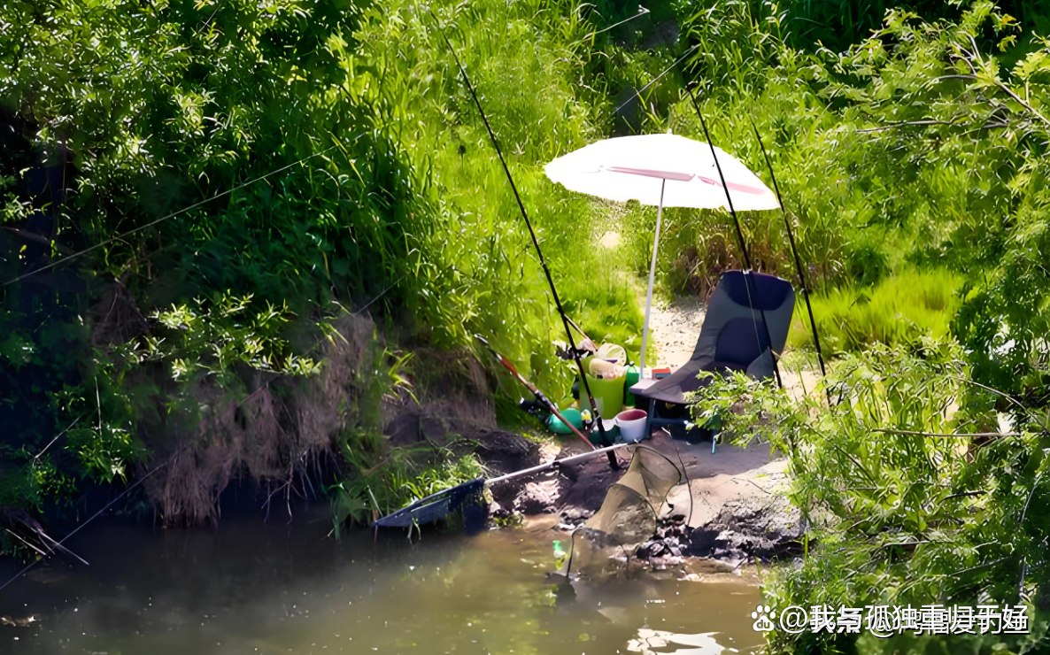 长江混水钓鱼技巧(长江浑水钓鱼用什么饵料)