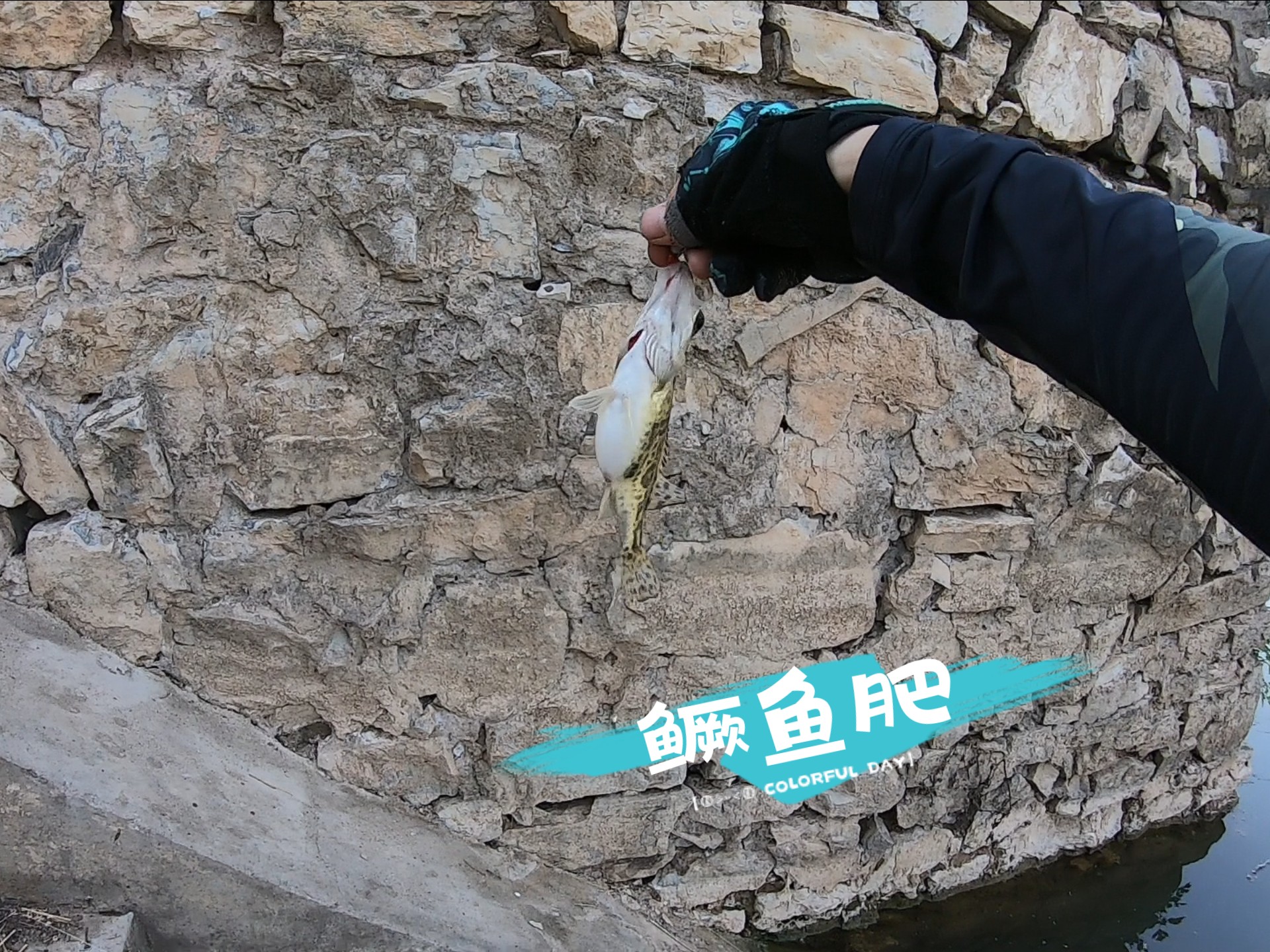 北京紫溪路亚(北京市路亚基地)