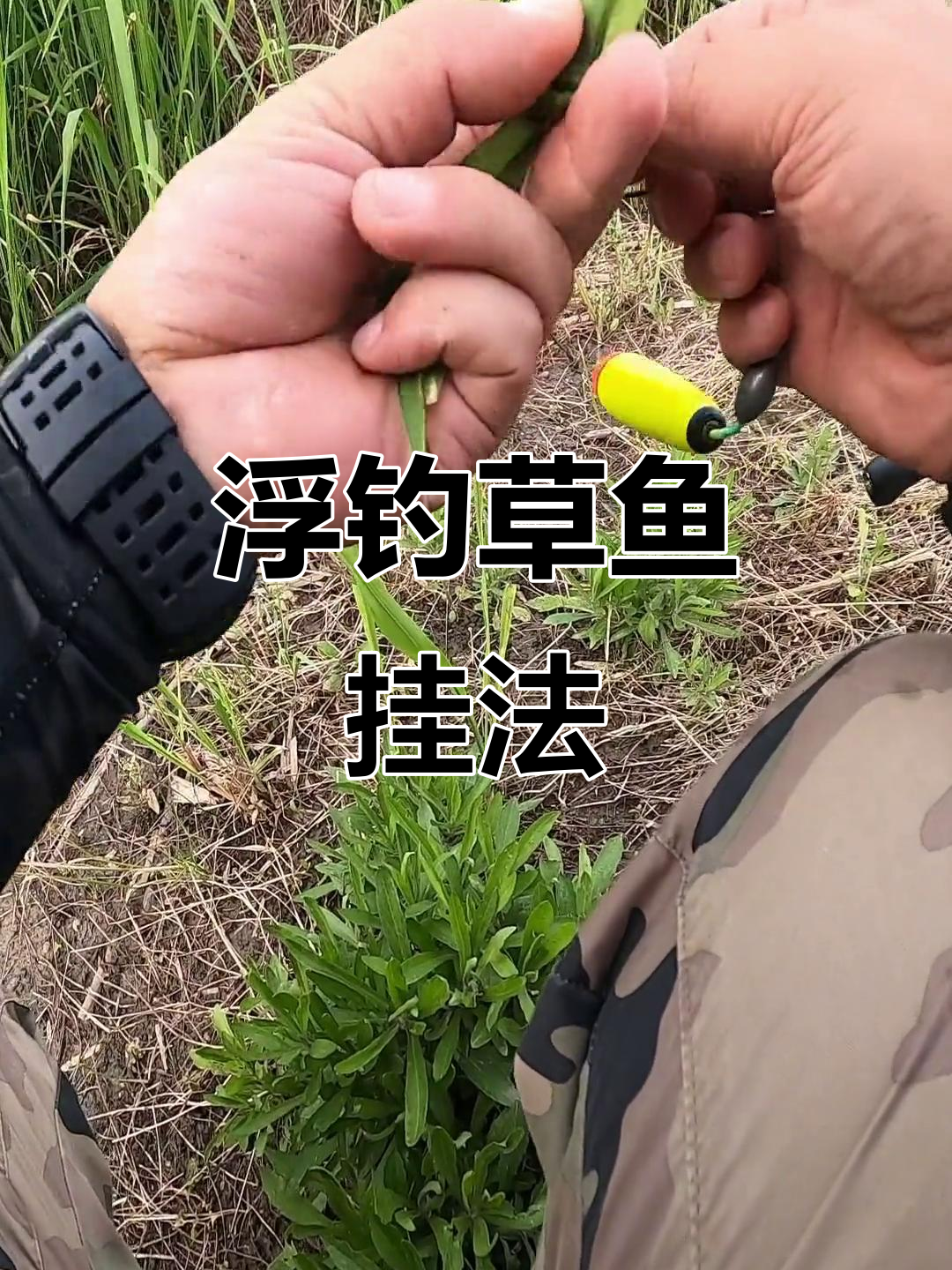 钓草鱼技巧(崔秉亮野钓草鱼技巧)