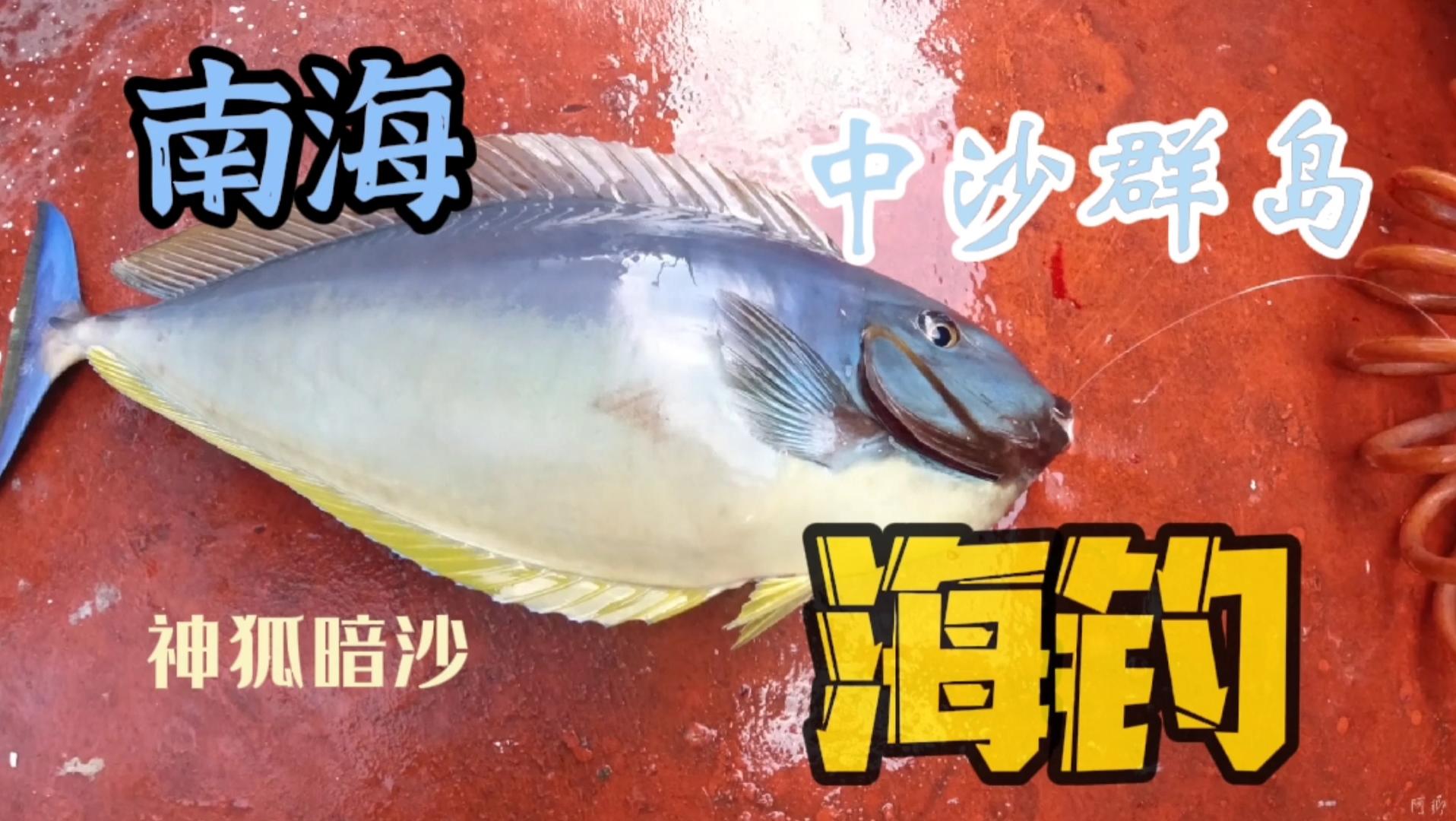 海钓沙食如何存放(海钓沙食如何存放时间长)