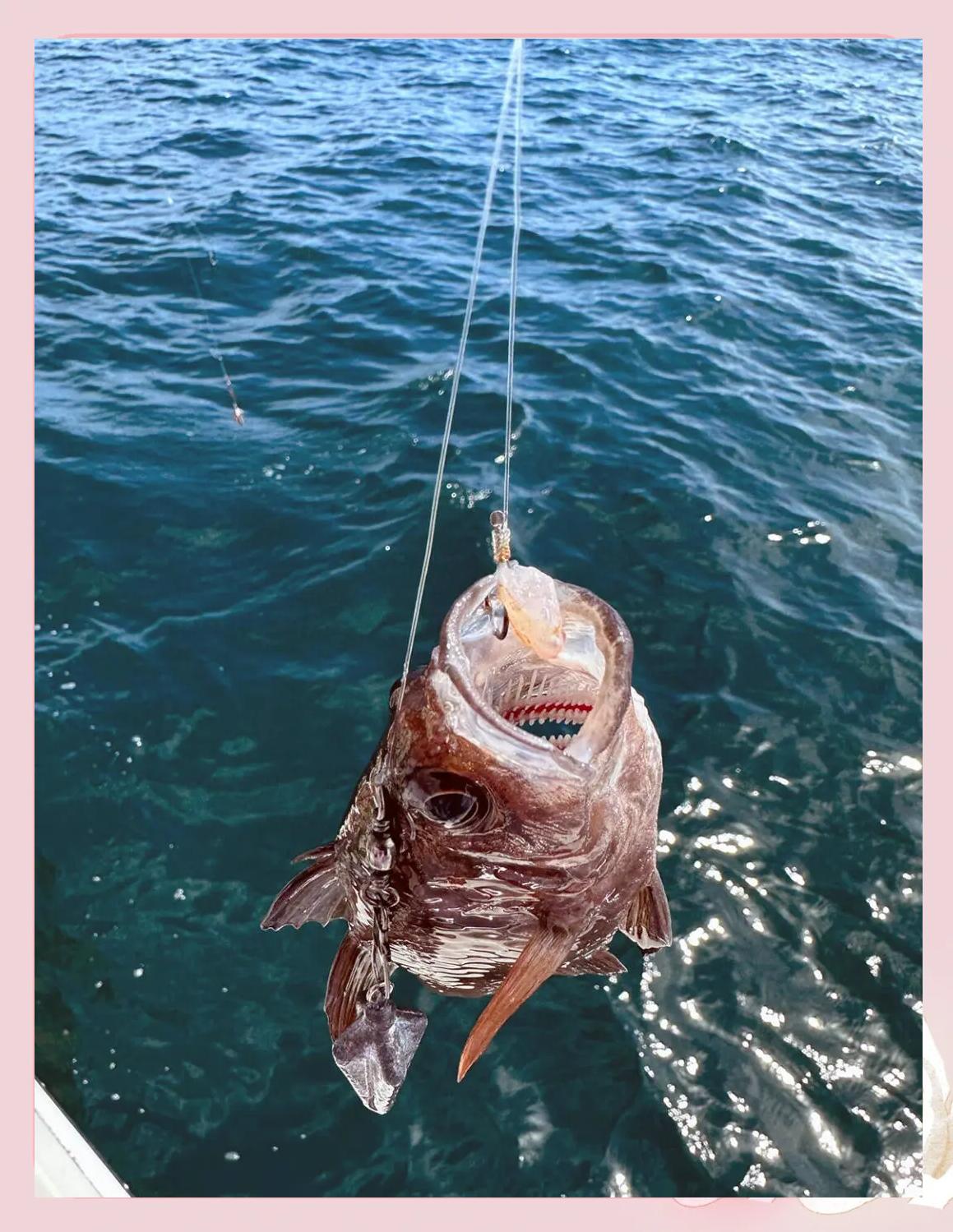 海钓沙食如何存放(海钓沙食如何存放时间长)