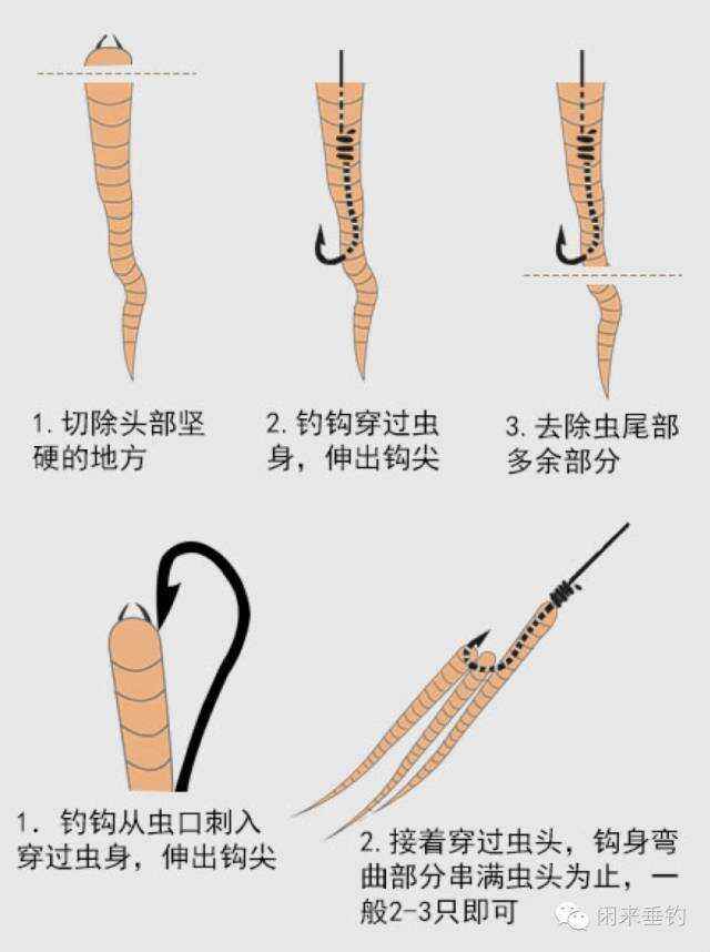 海钓抛投最佳方法(海钓抛竿线组图解视频)