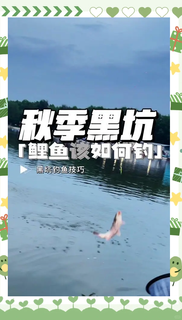 黑坑赌钓鱼技巧(黑坑怎么玩不亏钱)