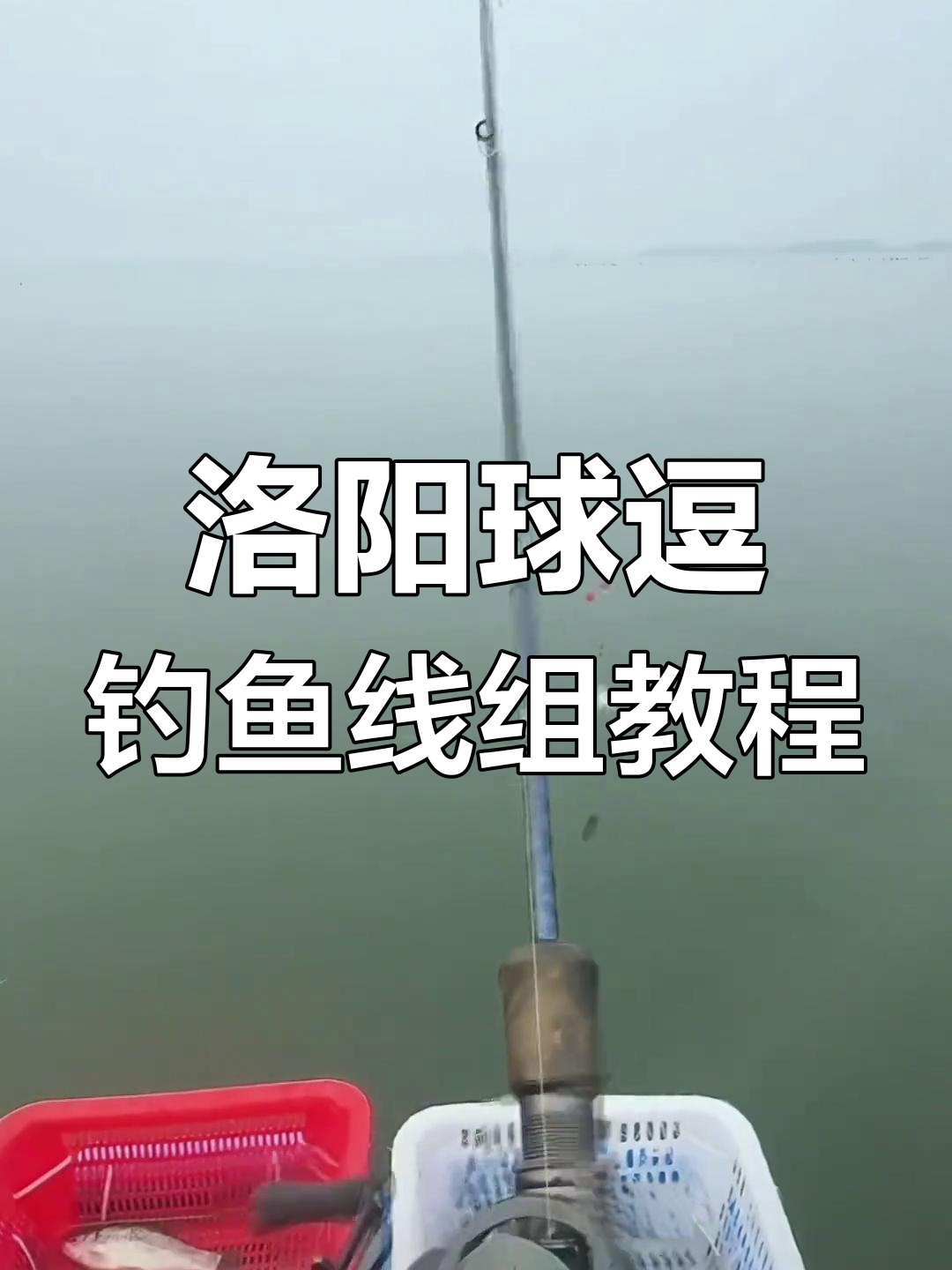 台钓逗口技巧(台钓逗钓手法视频)
