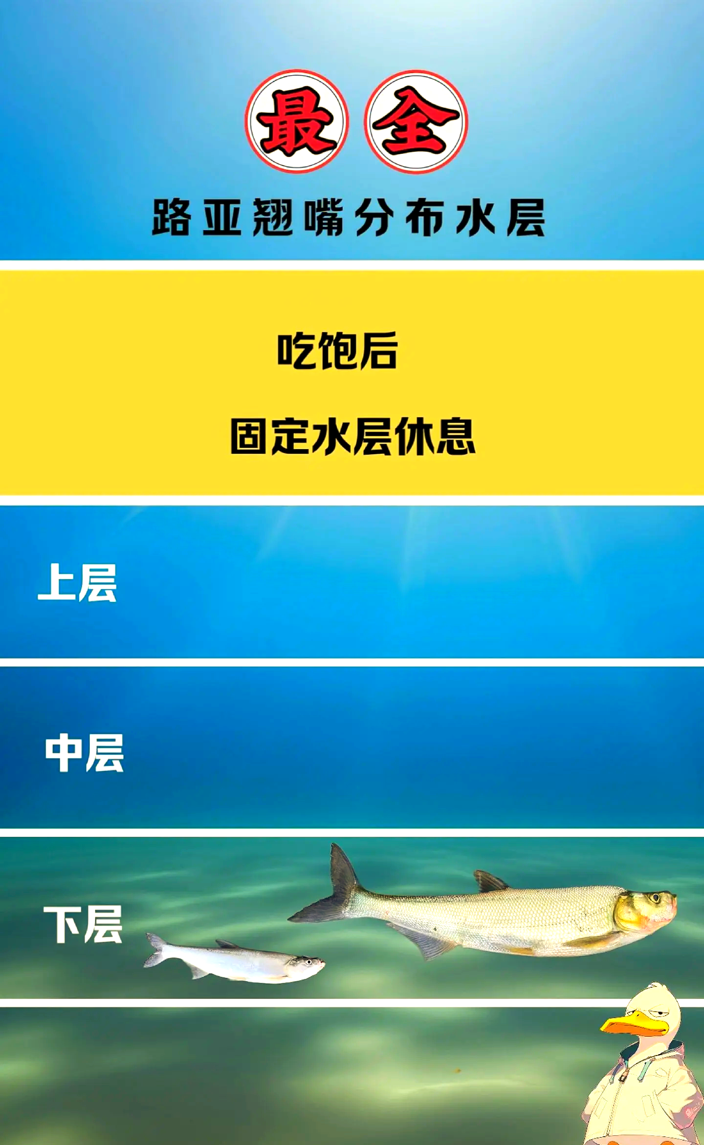 路亚海鲈的时间(路亚海鲈最佳季节)