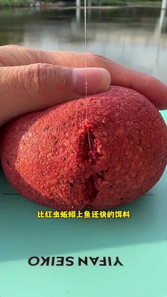 腥味饵料是什么(腥味饵料是什么意思)
