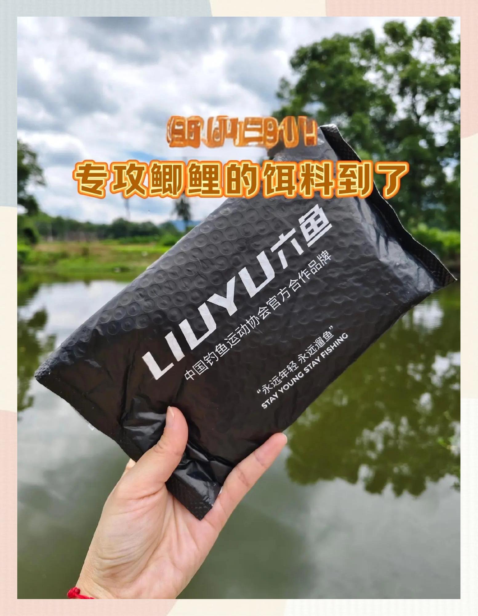 腥味饵料是什么(腥味饵料是什么意思)