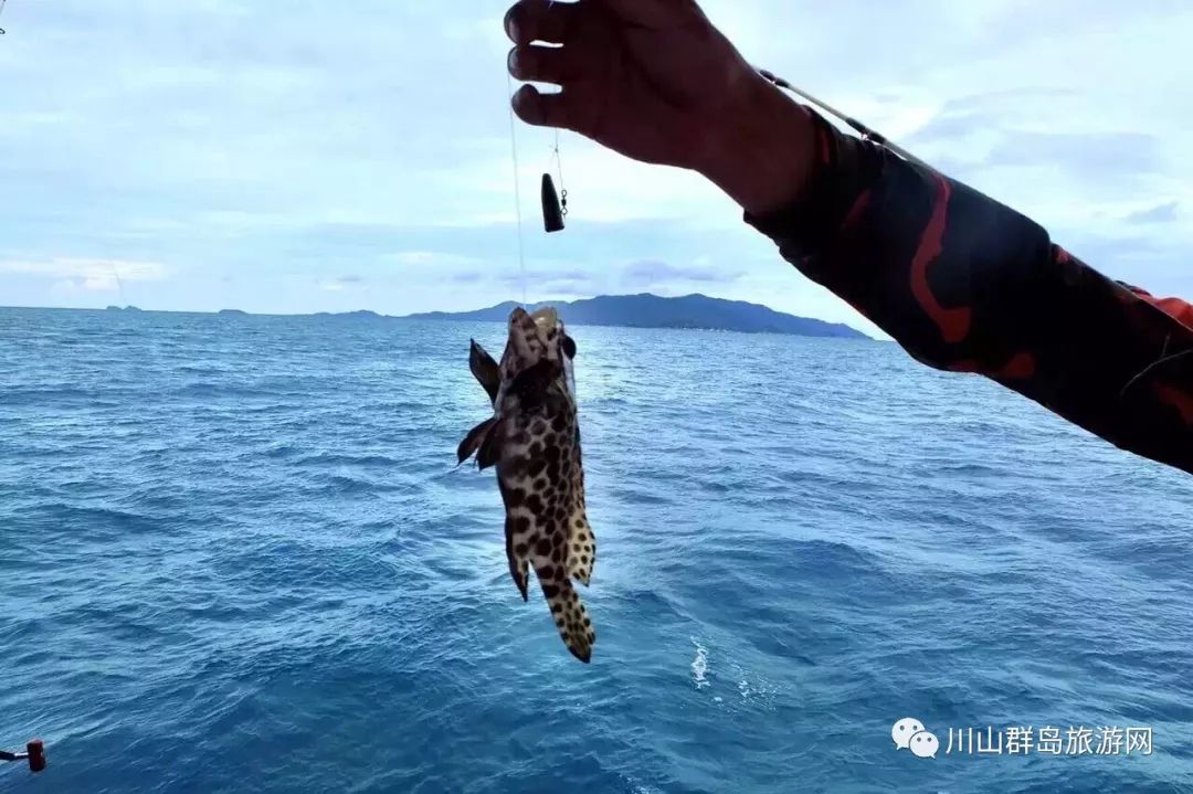 锦州冬季能海钓吗(锦州哪里可以钓海鱼)