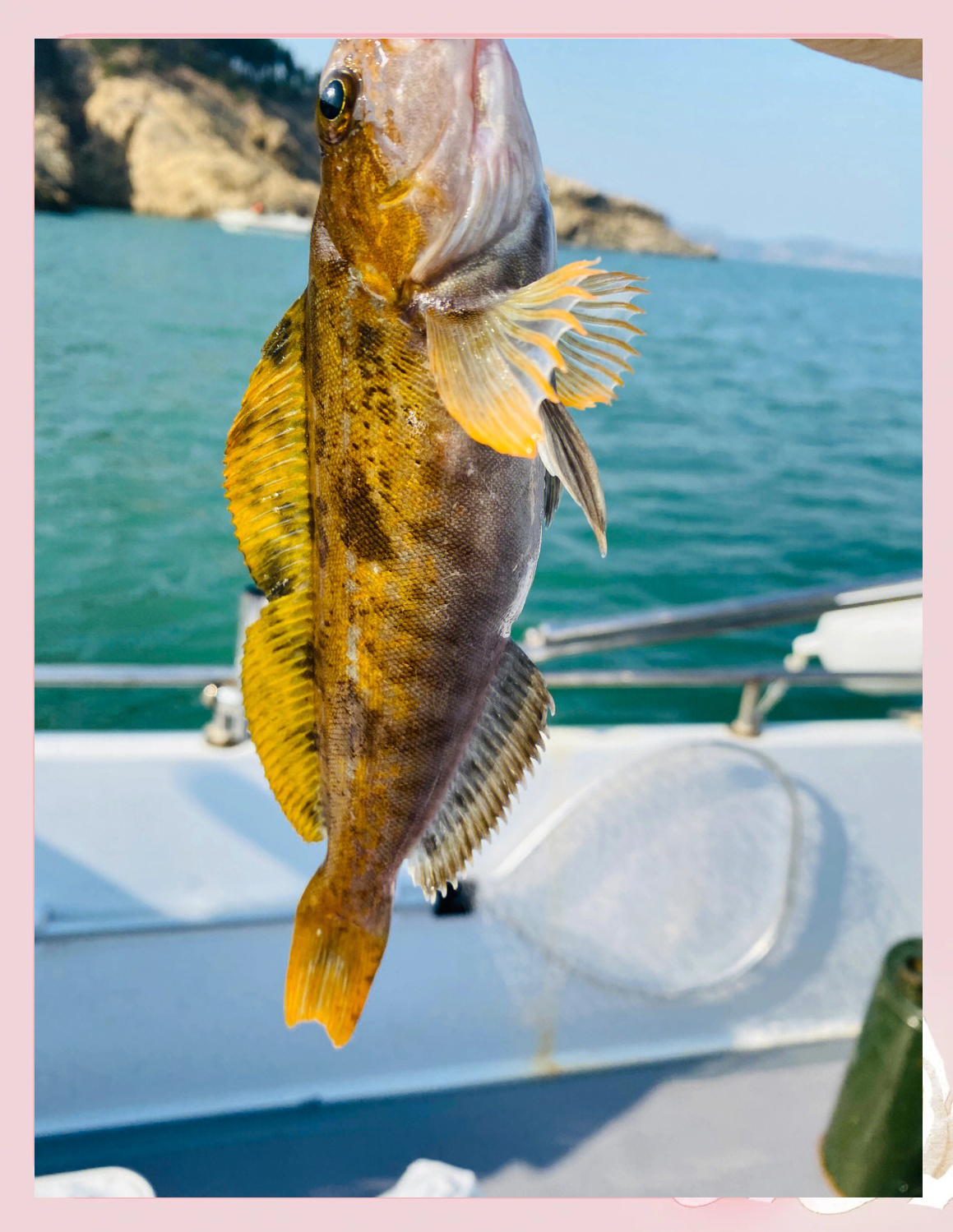 冬天适合怎样海钓(冬天钓海鱼都有什么鱼)