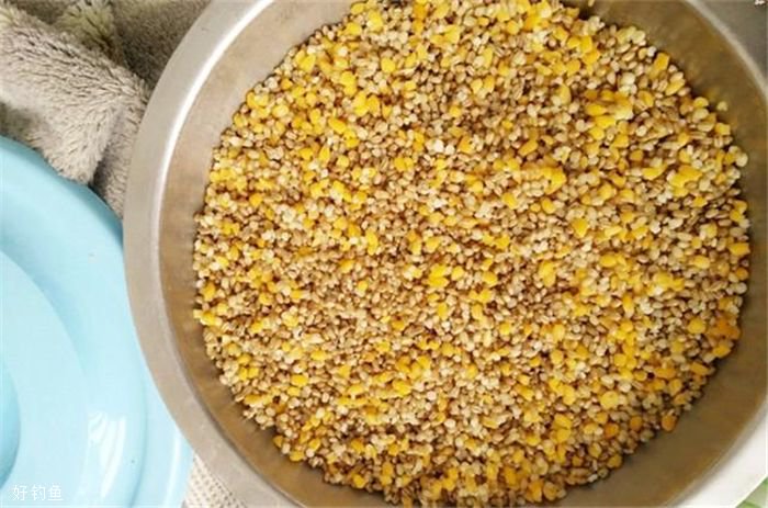 窝料打窝技巧(窝料怎么打的准)