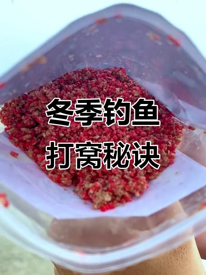 冬天诱钓技巧(冬天诱钓技巧图解)