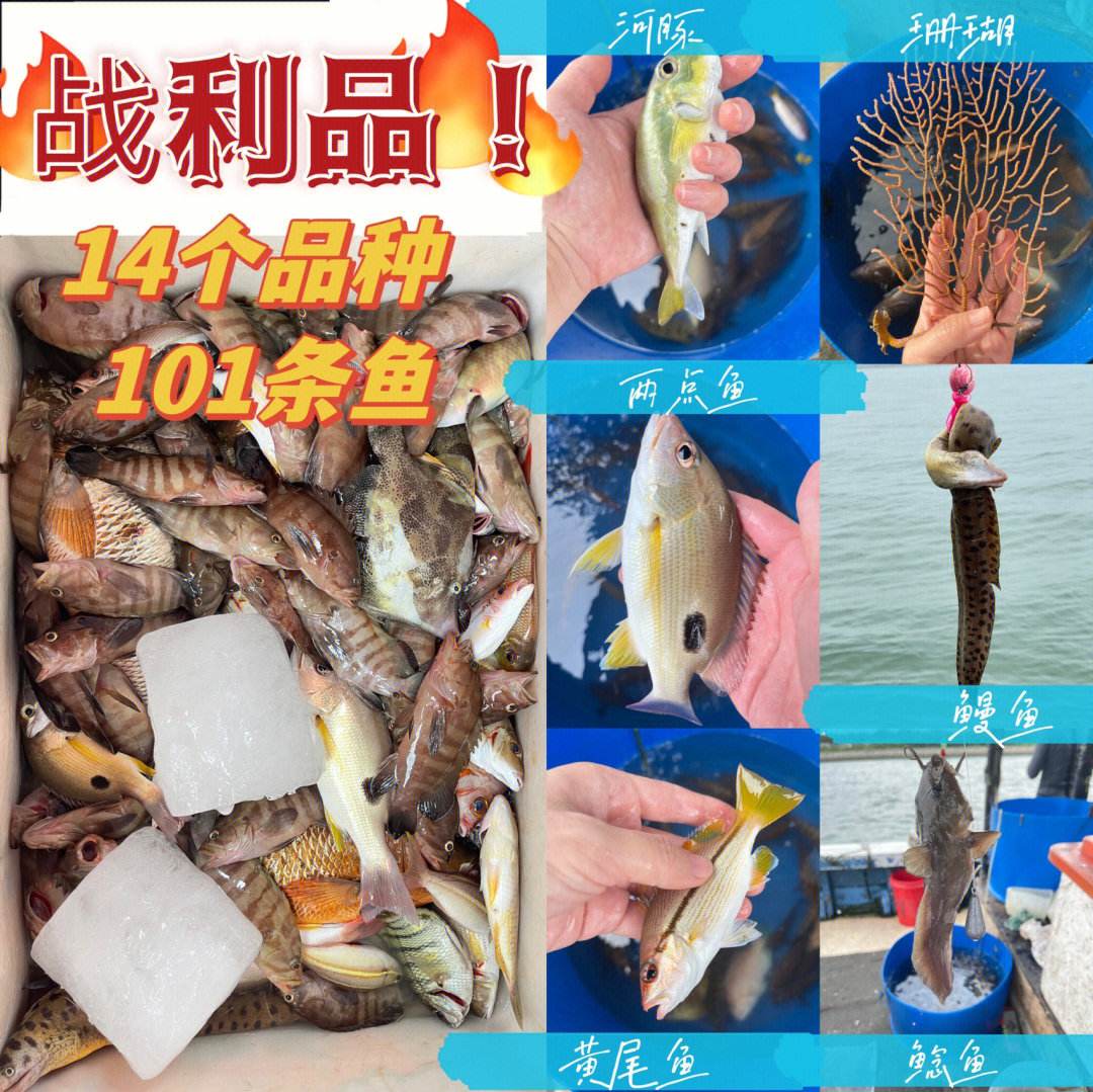 海钓铅笔抽鱼法(海钓用铅头钩能钓什么鱼)