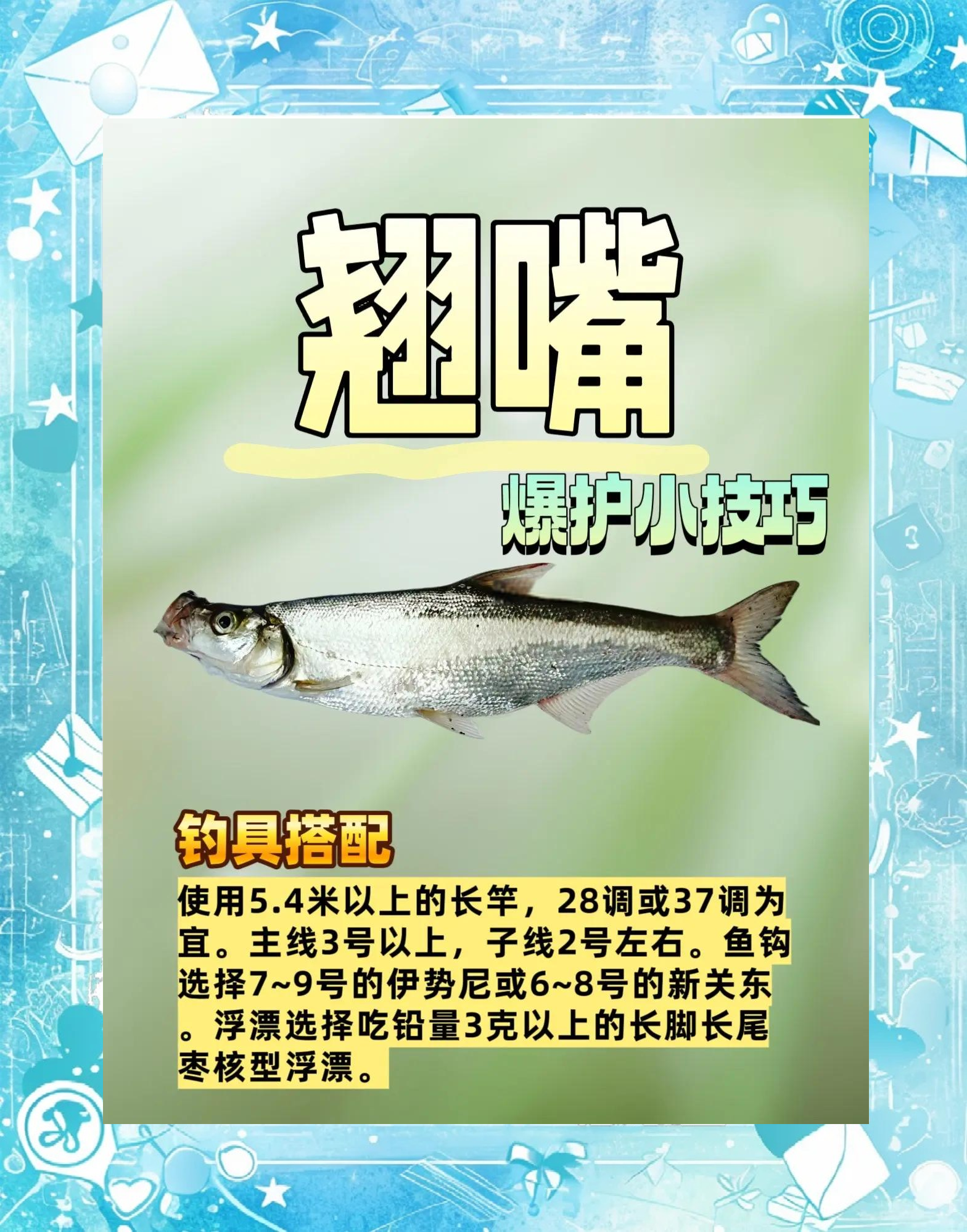 初冬野河钓翘嘴技巧(初冬钓翘嘴用什么打窝用什么饵)