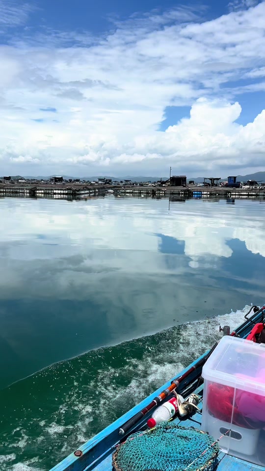 水面系海钓(海钓水中状态图解)