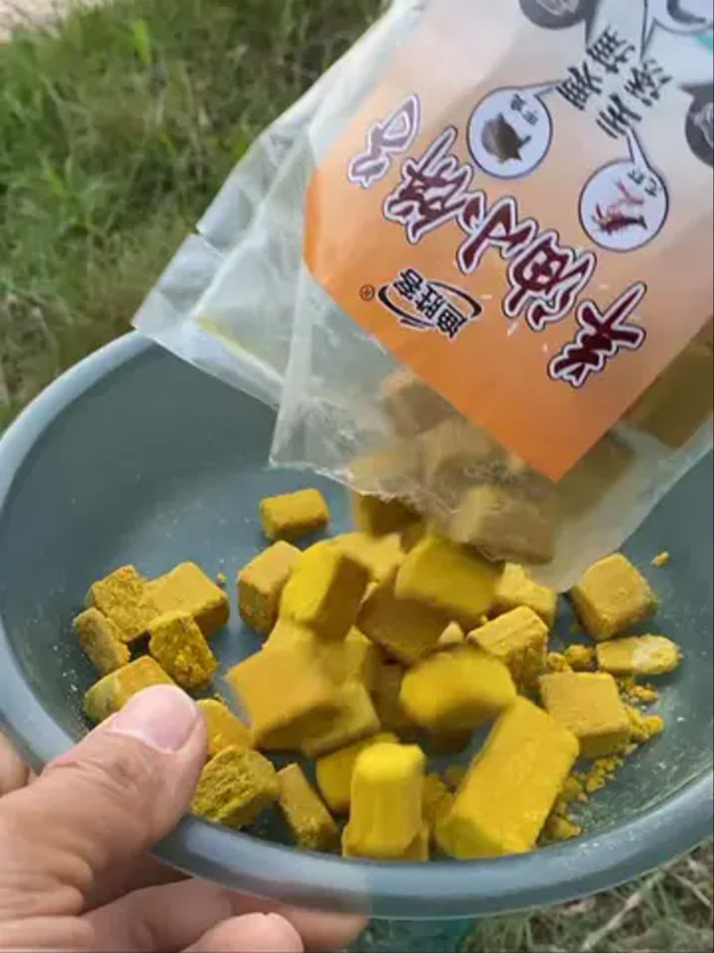 捉虾子用是饵料(捕虾饵料好狠三分钟)